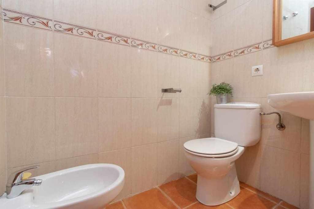 Aceite Duplex En El Centro Historico De Malaga公寓 外观 照片